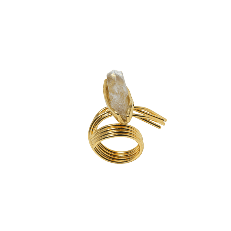 Anello Stormi