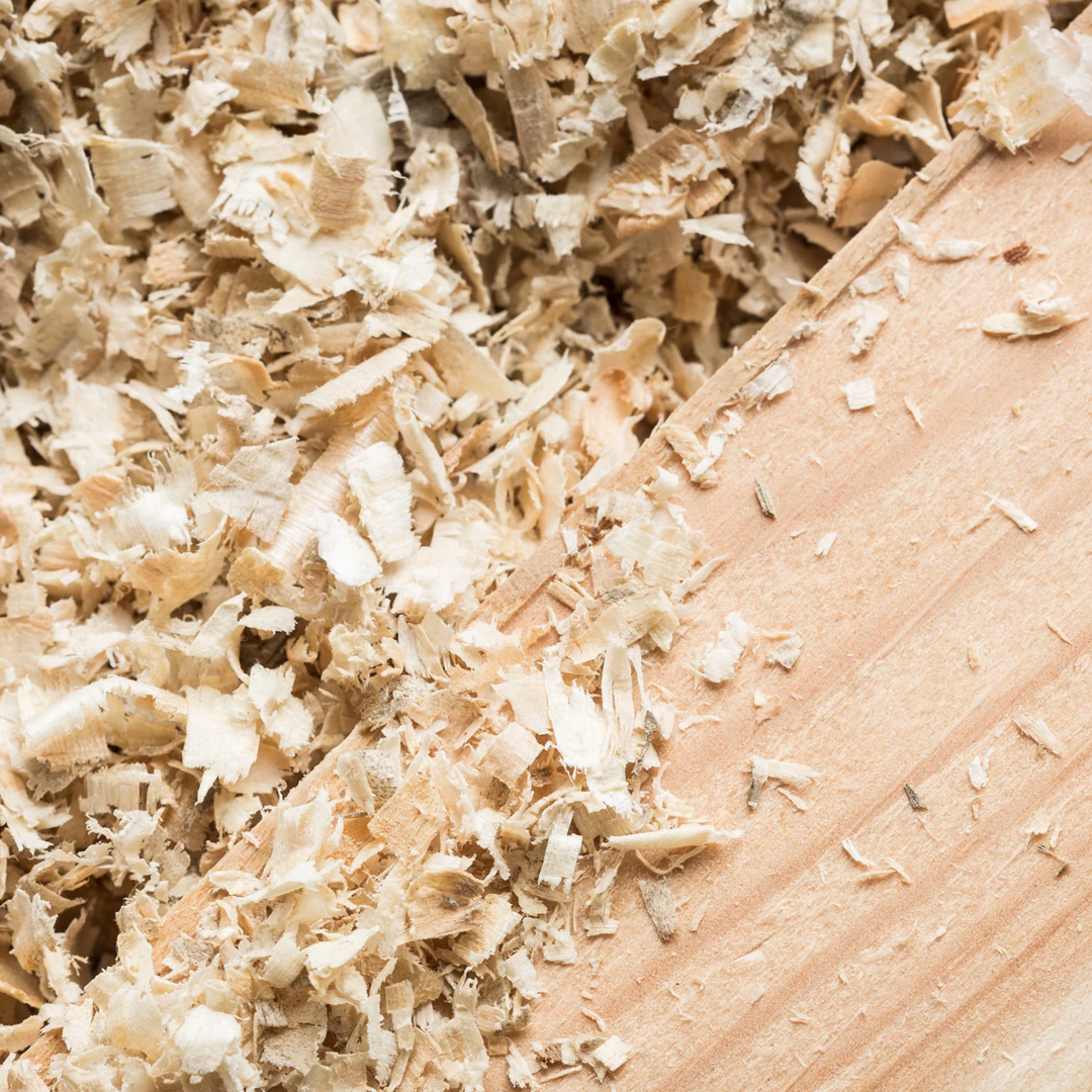 Image with text section