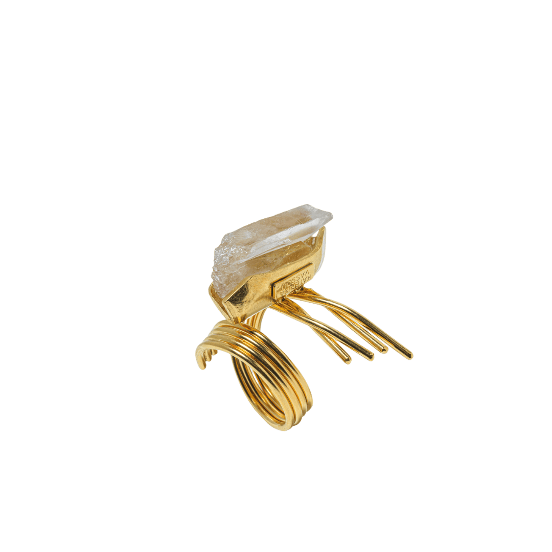 Anello Stormi