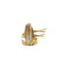 Anello Stormi