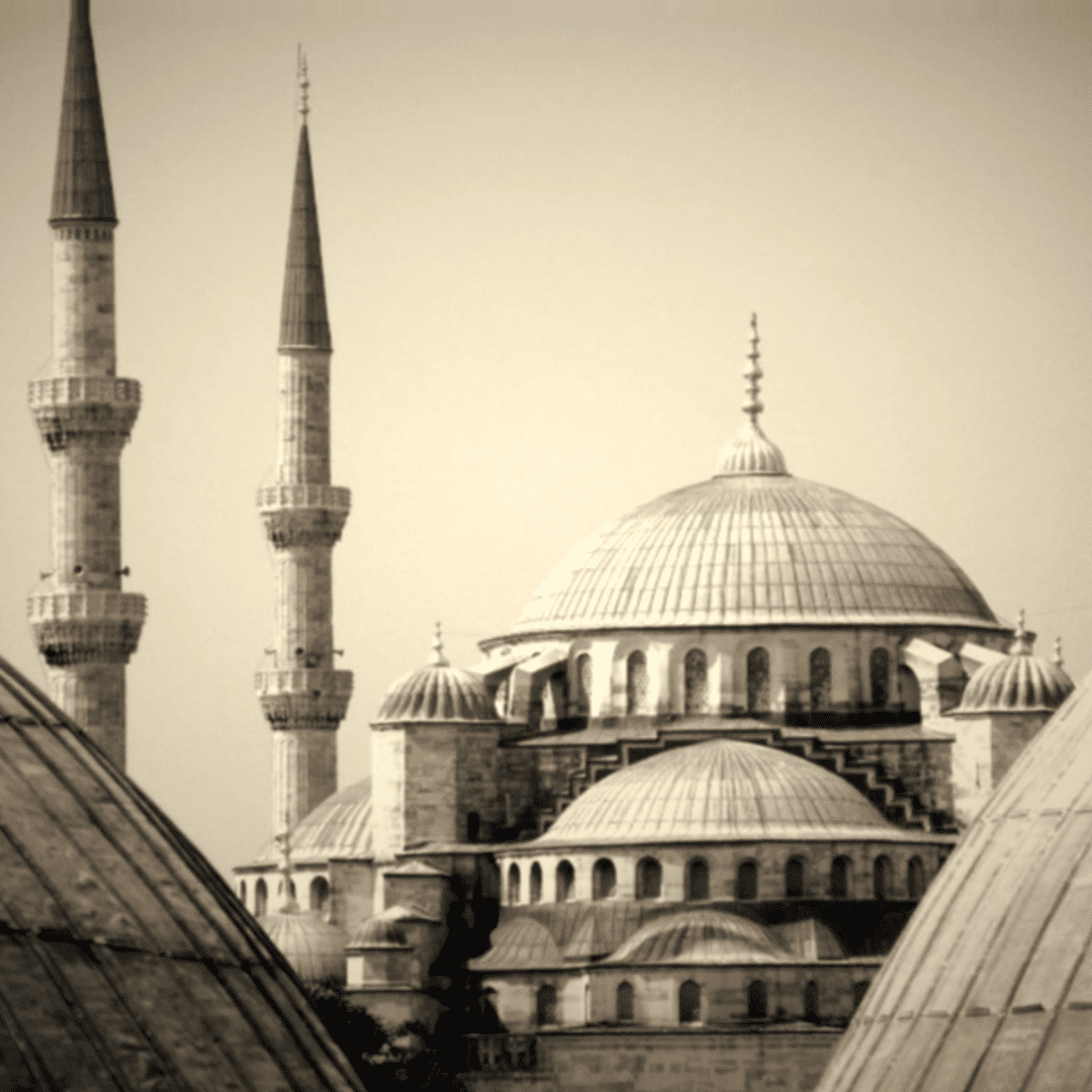 Image with text section